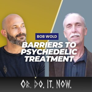The Potential of Psychedelics for Mental Health - Bob Wold