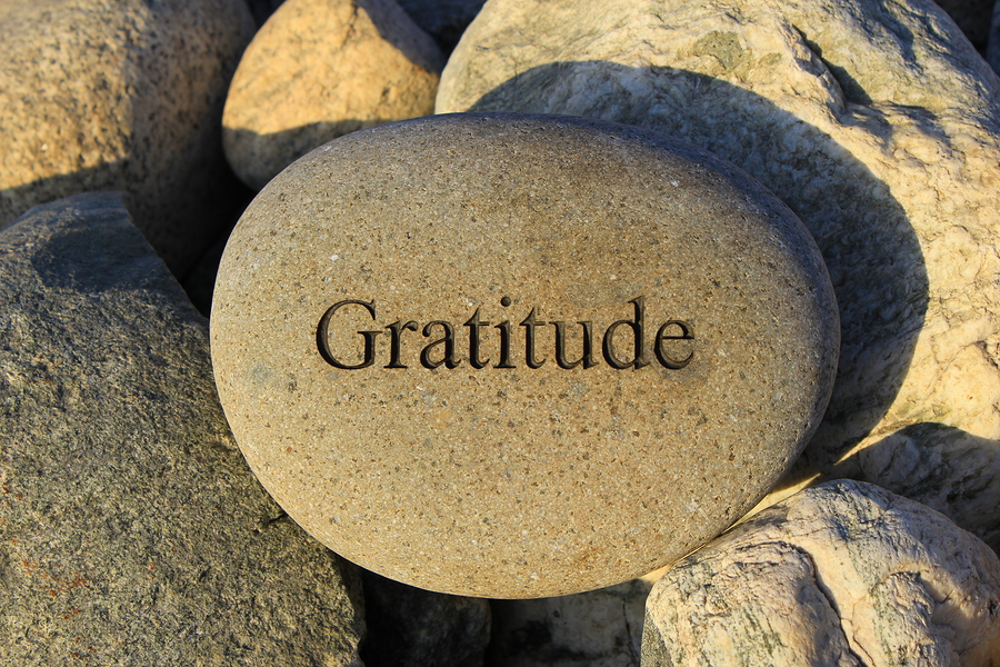 17: Gratitude and Gratefulness