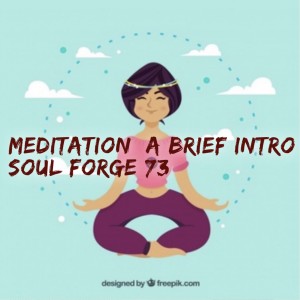 Meditation: A Brief Introduction - 73