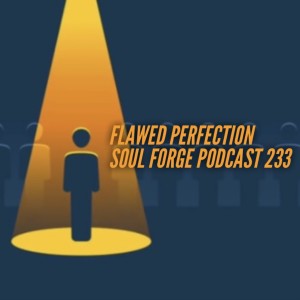 Flawed Perfection - 233