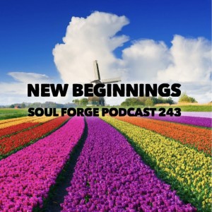 New Beginnings - 243