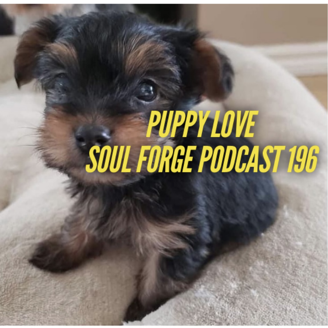 Soul Forge Podcast