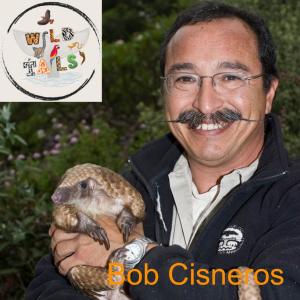 Episode 9: Hand-Raising a Pangolin with Bob Cisneros