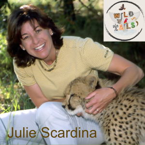 Episode 18: Wild Icons and Elephant Tales with Julie Scardina