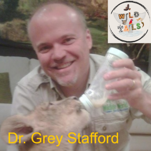 Episode 19: From SeaWorld to Zoo Logic with Dr Grey Stafford