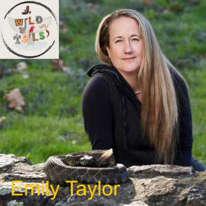 Episode 21: Secret lives of rattlesnakes with Emily Taylor
