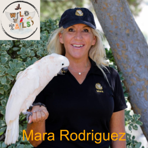 Episode 6: Showbiz Surprises with Mara Rodriguez