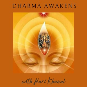 Dharma Awakens Episode 1: Origin Story