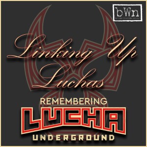 Linking Up Luchas #39