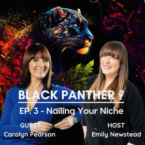 Episode 3 - Nailing Your Niche