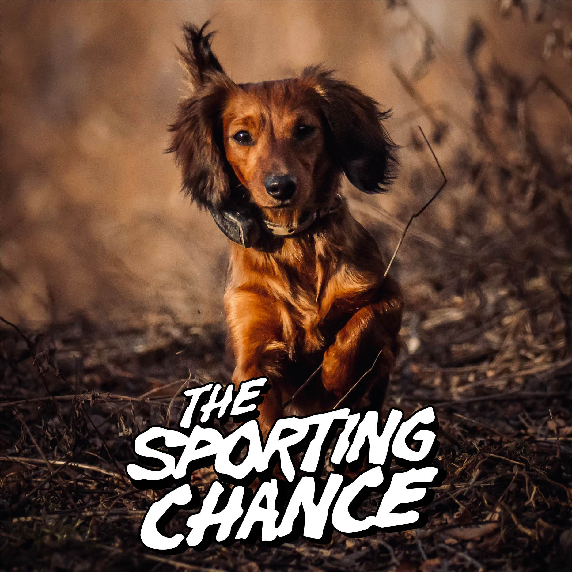 The Sporting Chance
