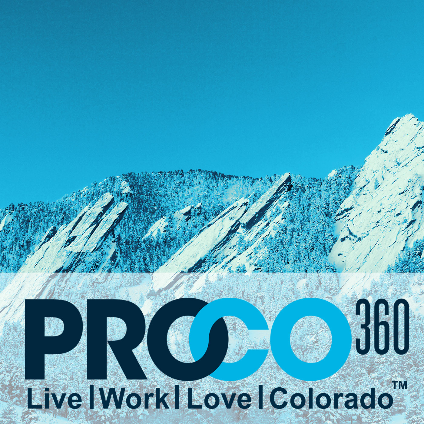 Growing Awesome COLORADO Brands - Denver Flea  ProCO360