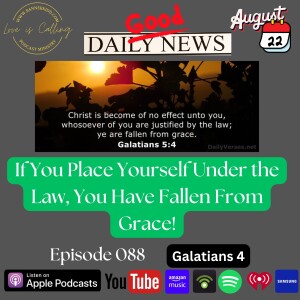 If You Place Yourself Under the Law, You Have Fallen From Grace!