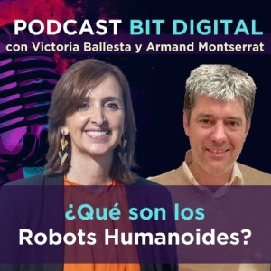 ¿Qué son los Robots Humanoides?