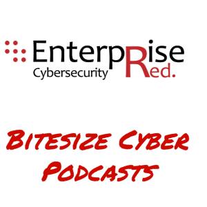 3 Feb 2025 - Welcome to our new EnterpriseRed website