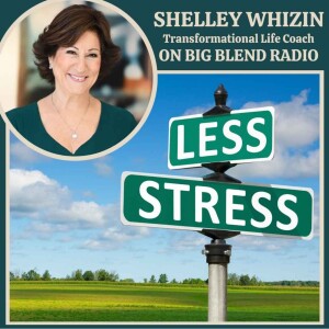 Shelley Whizin - How to Navigate Stress