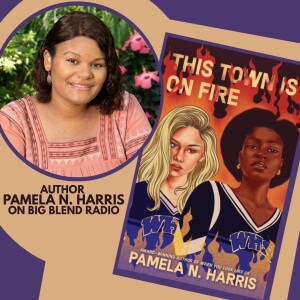 YA Author Pamela N. Harris - This Town is on Fire