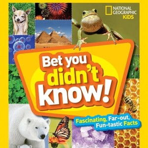 Big Blend Radio Interview: Becky Baines - National Geographic Kids ”Bet You Didn’t Know!”