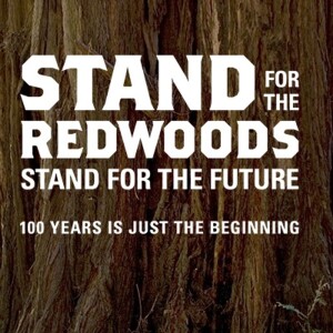 California’s Iconic Redwoods - Sam Hodder on Big Blend Radio