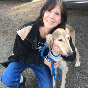 Dogs: Our Unsung Heroes - Cori Solomon on Big Blend Radio