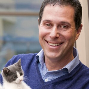 Fearless Pet Training - Dr. Gary Weitzman on Big Blend Radio