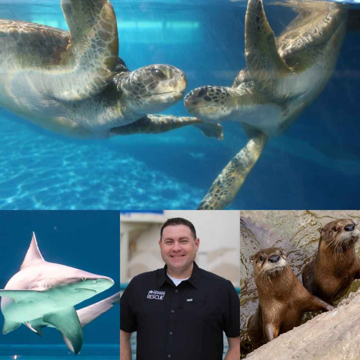 Nature Connection Radio
