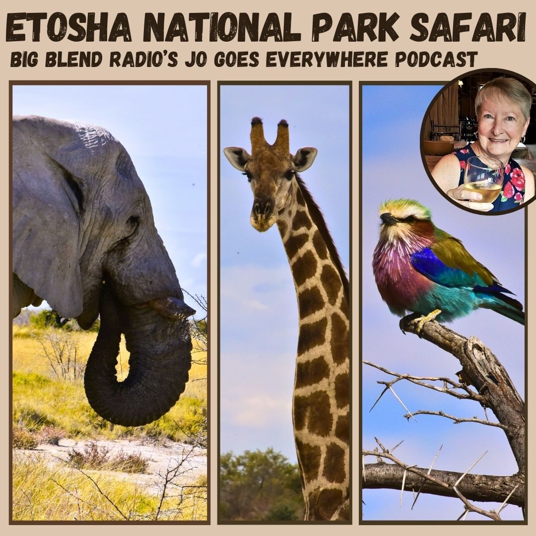 Wildlife Safari in Etosha National Park, Namibia