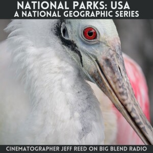 Cinematographer Jeff Reed - Nature and Wildlife in National Parks