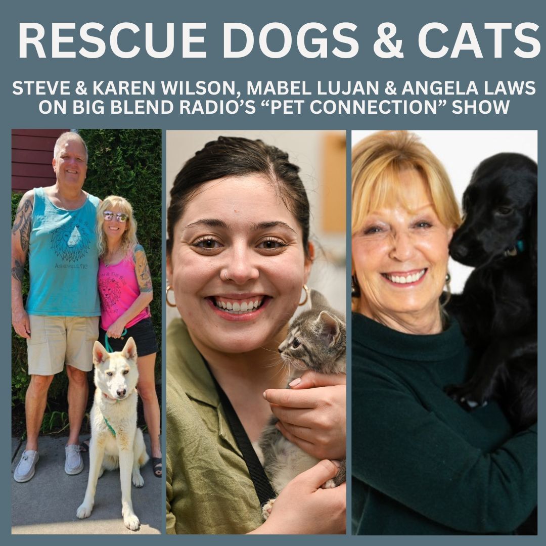 The Pet Connection - Rescue Dogs and Cats