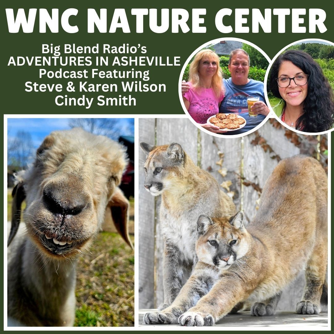 Nature Connection Radio