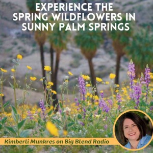Experience the Spring Wildflowers in Sunny Palm Springs