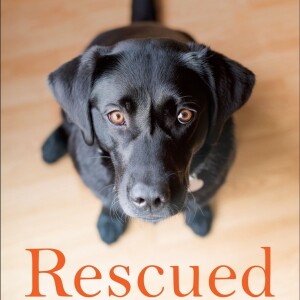 Big Blend Radio: Peter Zheutlin - Rescued:  What Second-Chance Dogs Teach Us About Living with Purpose, Loving with Abandon, and Finding Joy