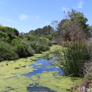 Cynthia D’Agosta and Kim Glen - Outdoor Recreation in Costa Mesa, CA