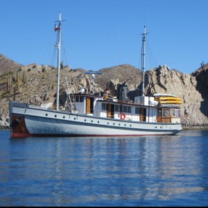 Cruising the Sea of Cortez, Baja California