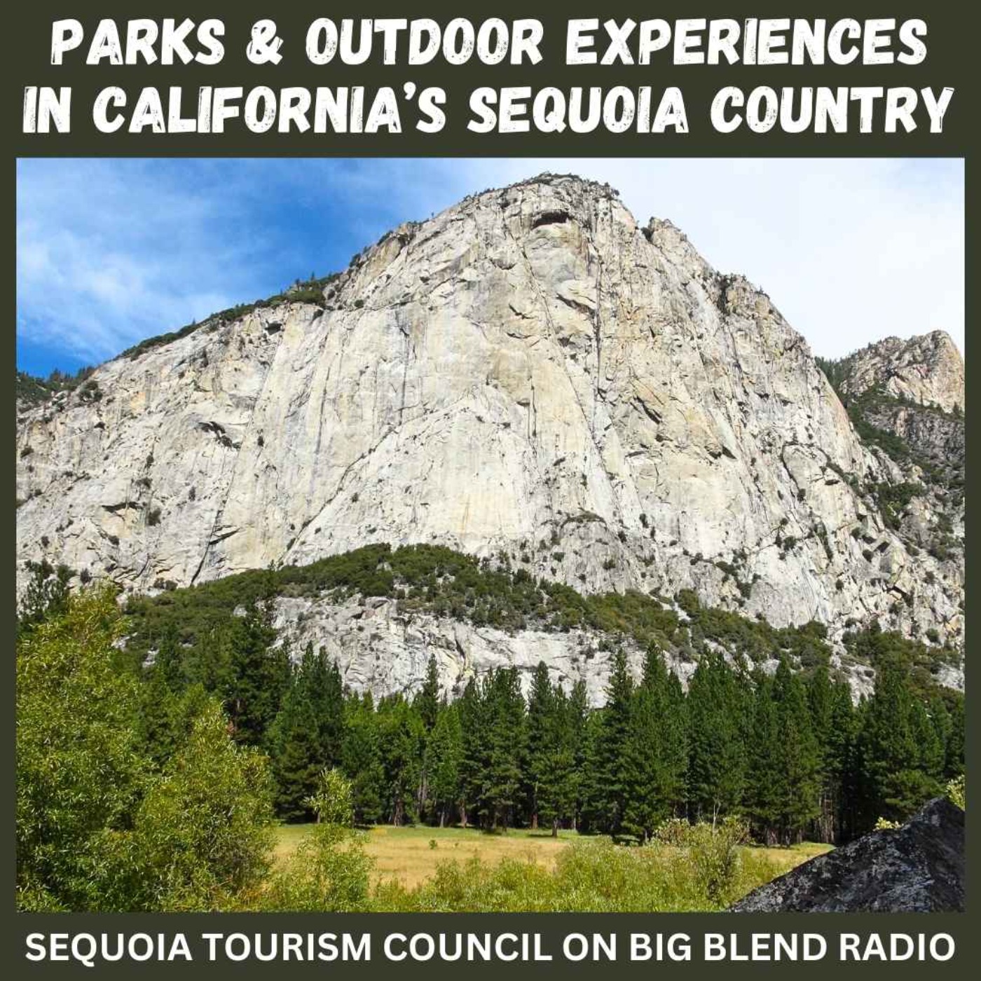 Nature Connection Radio