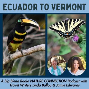 Nature Connection Destinations - Ecuador to Vermont