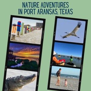 Sharon K. Kurtz - Nature Adventures in Port Aransas, Texas