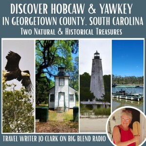 Discover Hobcaw & Yawkey: Historic and Natural Gems in Coastal South Carolina