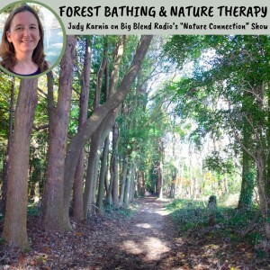 Judy Karnia - Forest Bathing and Nature Therapy