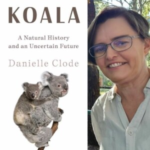 Danielle Clode - Koala: A Natural History and an Uncertain Future