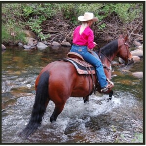 The History and Legacy of Appaloosa Horses