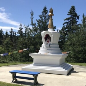 A Visit to Earth Sanctuary in Langley, Washington
