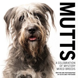 MUTTS: A Celebration of Mystery Mixed Breeds