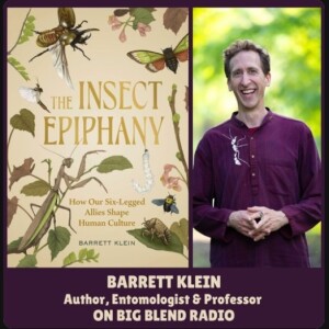Barrett Klein - The Insect Epiphany