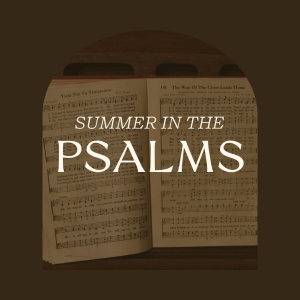 Trust in Me - Psalm 62