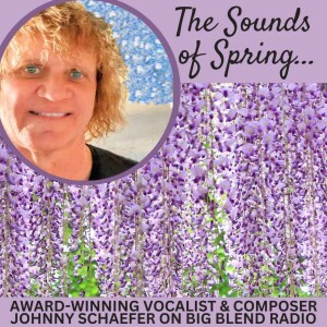 Johnny Schaefer - The Sounds of Spring