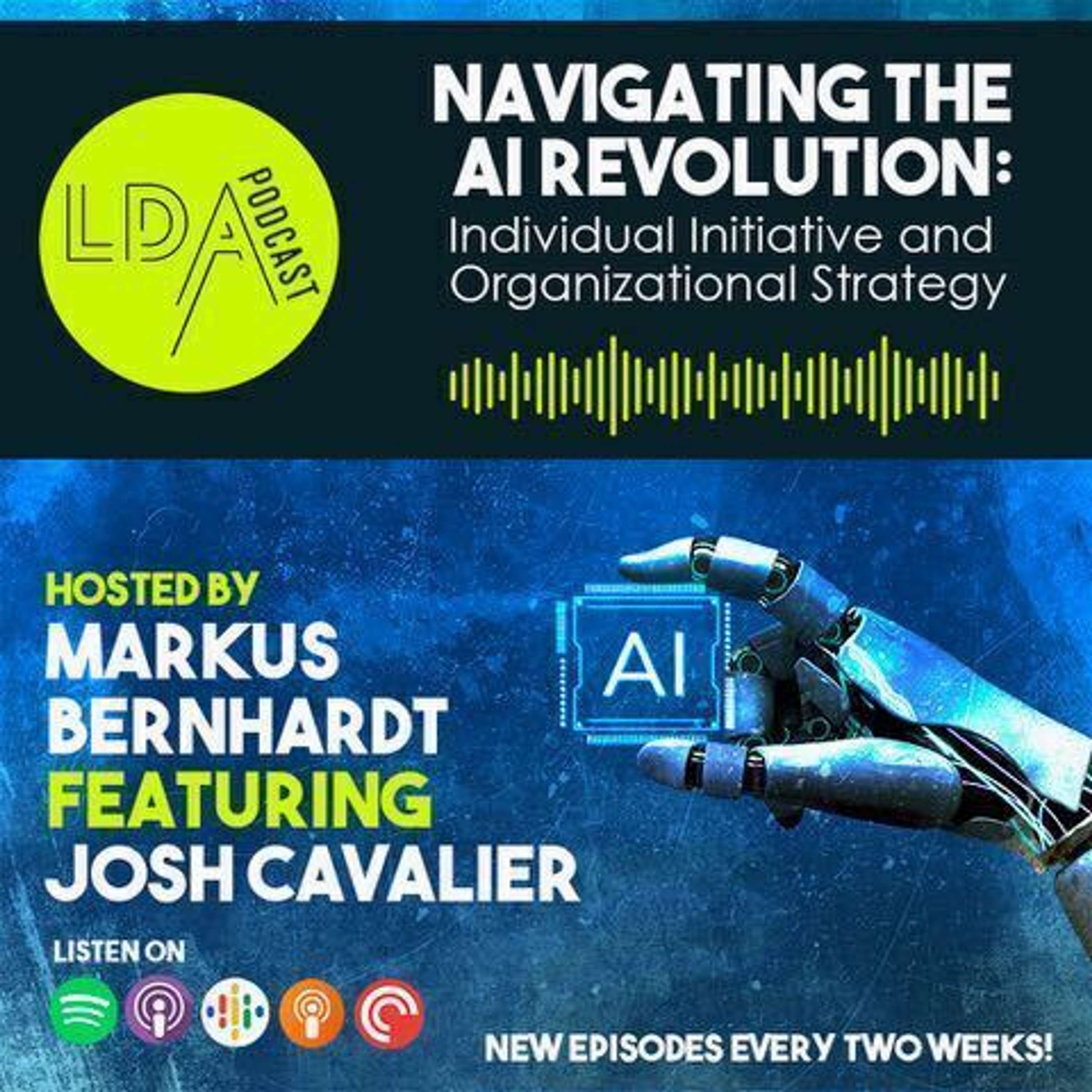 Navigating the AI Revolution: Individual Initiative and Organizational Strategy - podcast episode cover