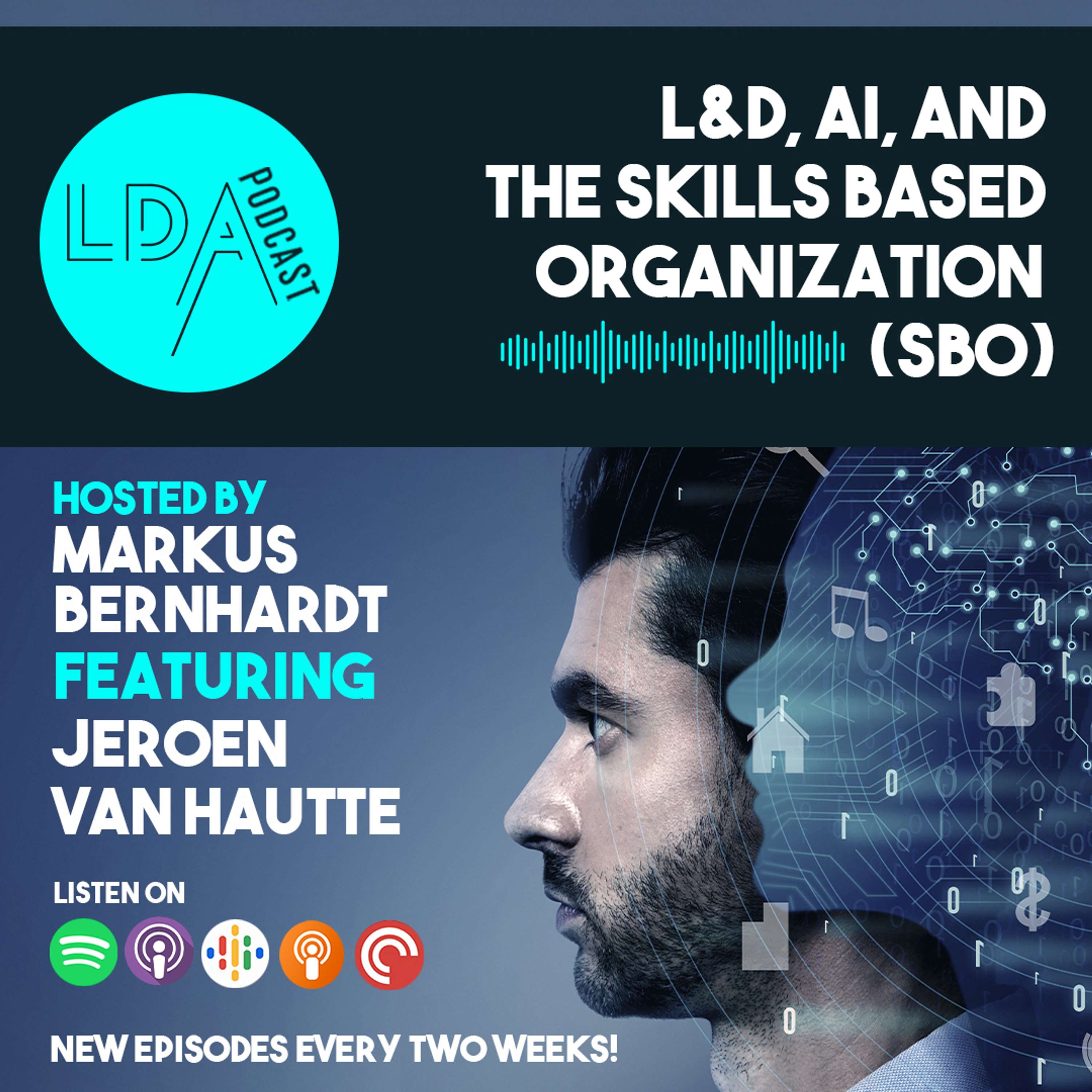 AI and L&D Insights: L&D, AI, and the Skills Based Organization (SBO) - podcast episode cover