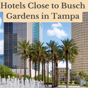 Exploring Tampa: Hotels Near Busch Gardens