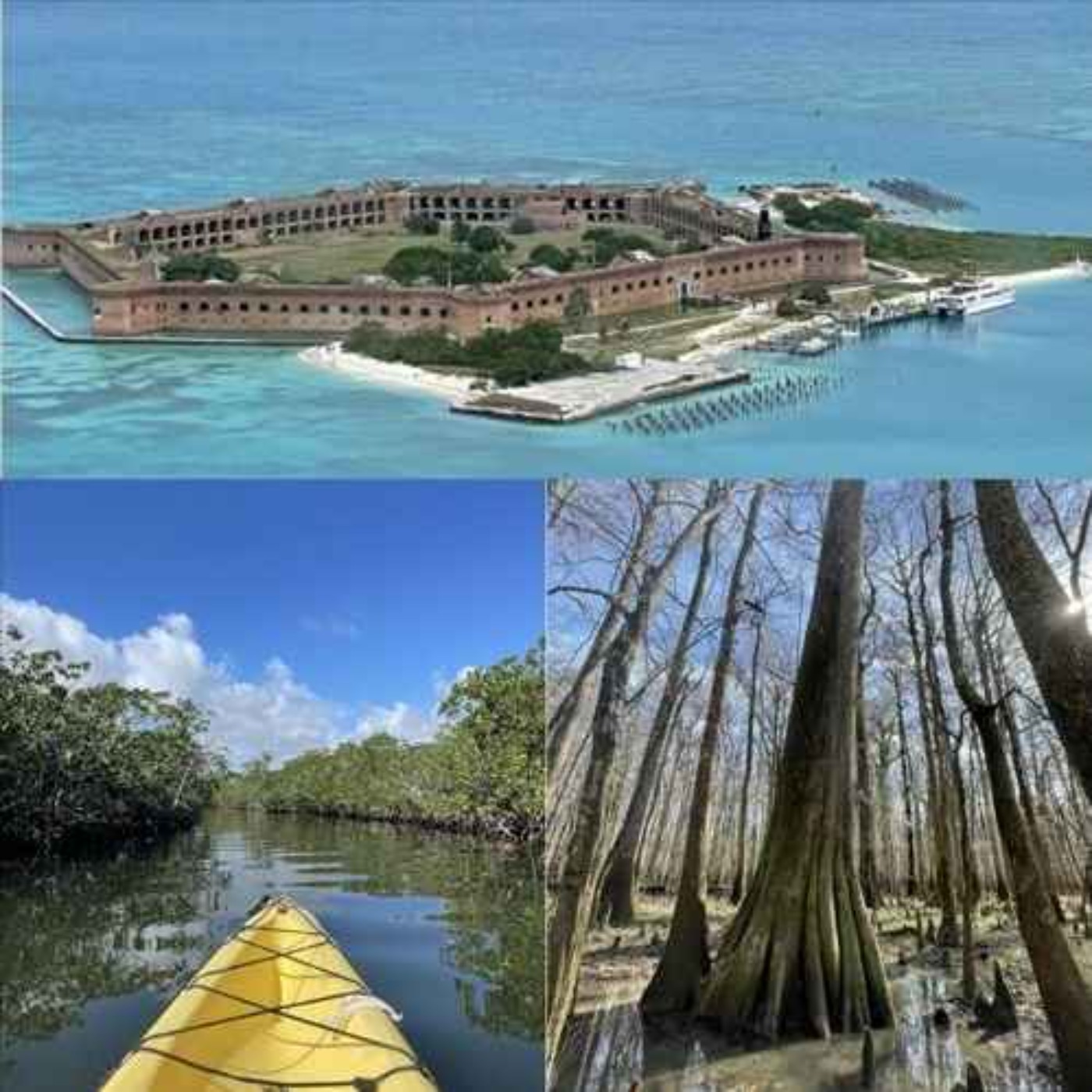 Congaree, Biscayne, and Dry Tortugas National Parks